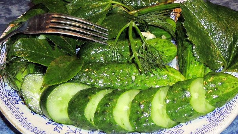 Het klassieke recept voor licht gezouten komkommers in een pan met hete pekel