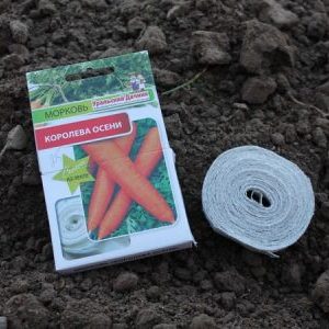 Како правилно посадити семенке шаргарепе на тракицу и како их направити код куће