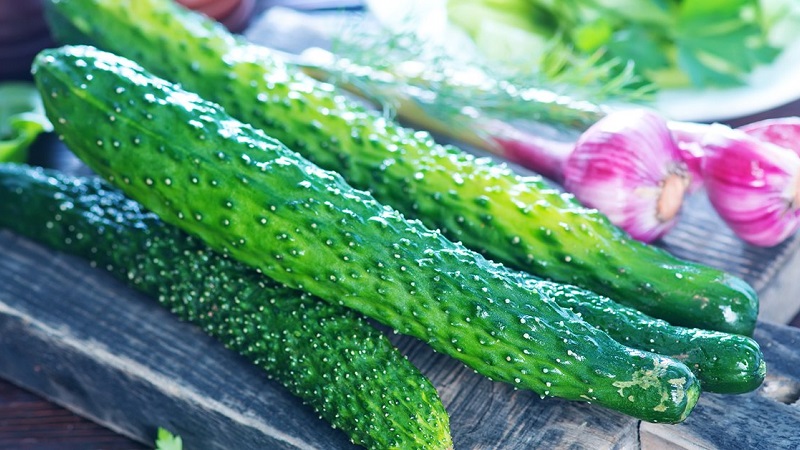 Delicious recipes for pickled Chinese cucumbers for the winter