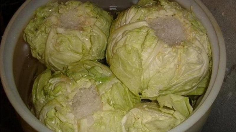 How to ferment cabbage with cabbage correctly: step by step instructions and recipe options