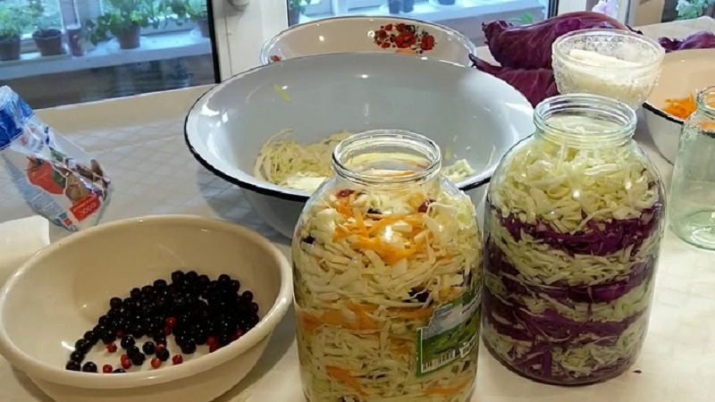 Recettes pour une délicieuse choucroute en pots de 3 litres pour l'hiver et recommandations pour conserver les collations