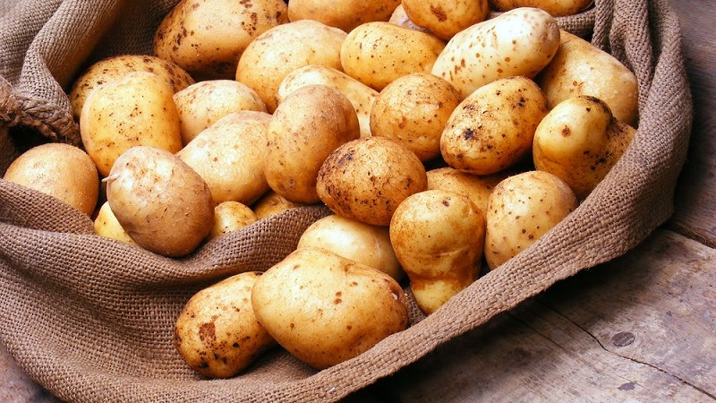 Paano mo papalitan ang patatas sa isang diyeta