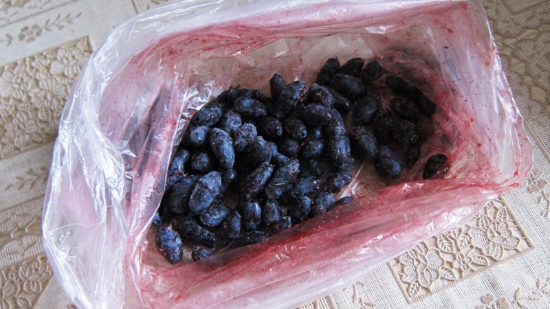 Paano i-freeze ang honeysuckle para sa taglamig bilang juice, puree, o buong berry