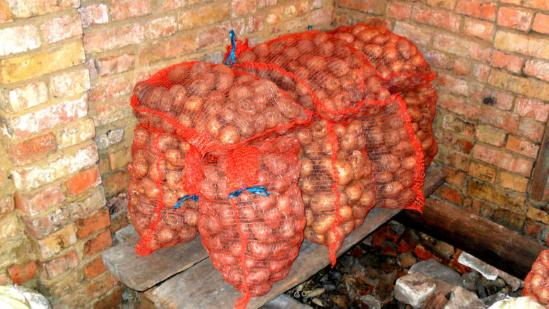 Paano mag-imbak ng patatas sa taglamig sa isang pribadong bahay nang walang cellar