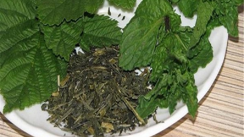 Como preparar adequadamente folhas de framboesa para o inverno para o chá em casa