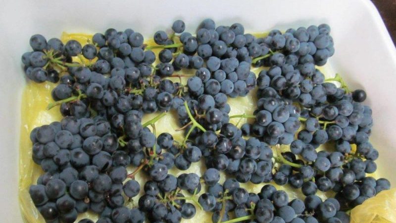 Como congelar corretamente uvas para o inverno no congelador e é possível fazer isso