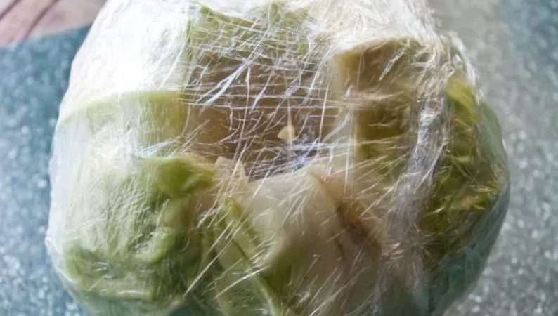 Evde kış için beyaz lahanayı dondurmanın en iyi yolları