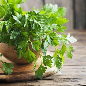 How to make parsley as a diuretic