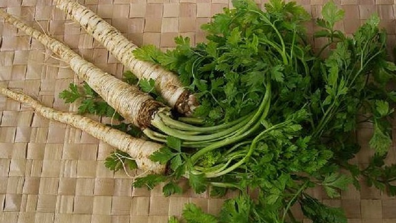 How to make parsley as a diuretic