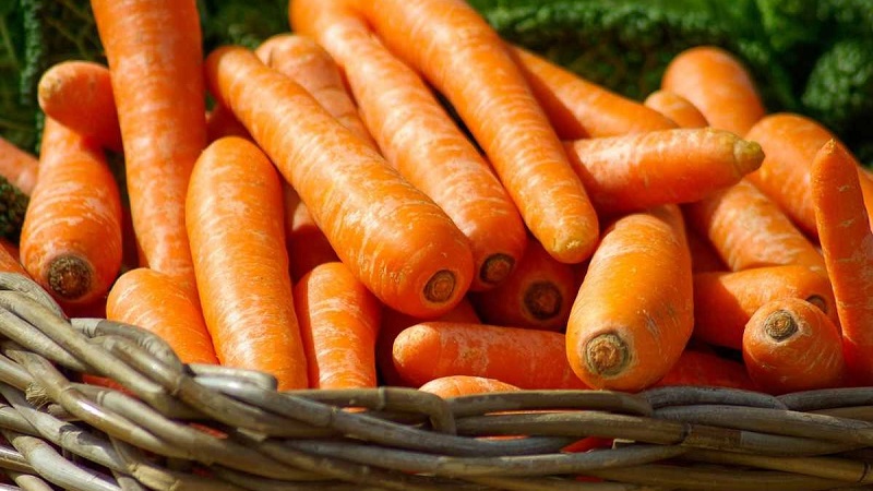 Калорични садржај, витамини и храњиве вредности свеже и куване шаргарепе
