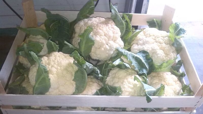 Ang pinakamahusay na mga paraan upang mapanatili ang cauliflower para sa taglamig sa bahay
