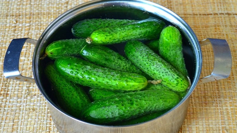 Heerlijke krokante licht gezouten komkommers voor de winter: recepten zonder sterilisatie voor 1 liter