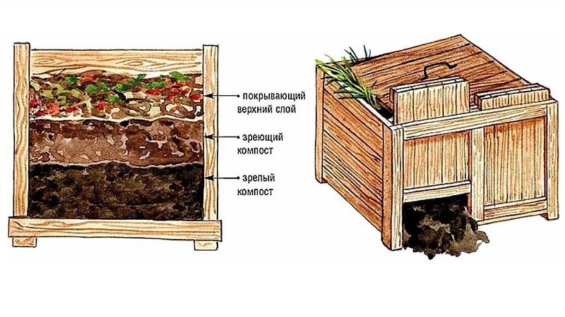 Is it possible to put potato tops in a compost heap and how else to apply it on the site