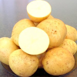 Descrição detalhada e conselhos de agrônomos sobre variedades de batata: Petersburg, Barin, Leader e outros