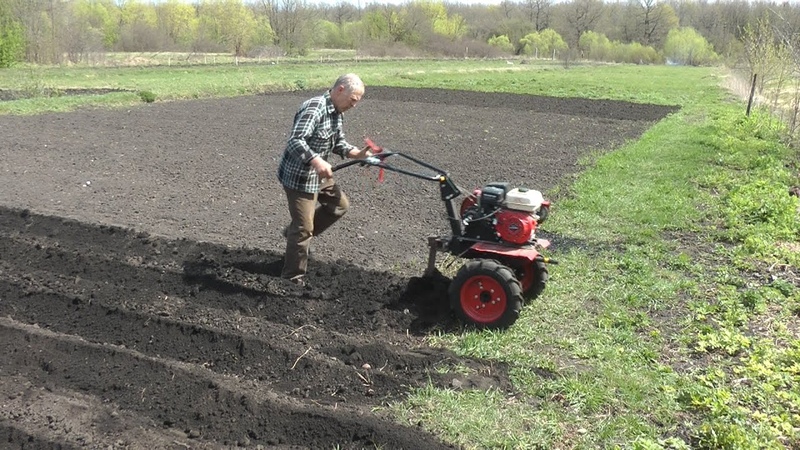 Technologie de plantation de pommes de terre avec un tracteur à conducteur marchant