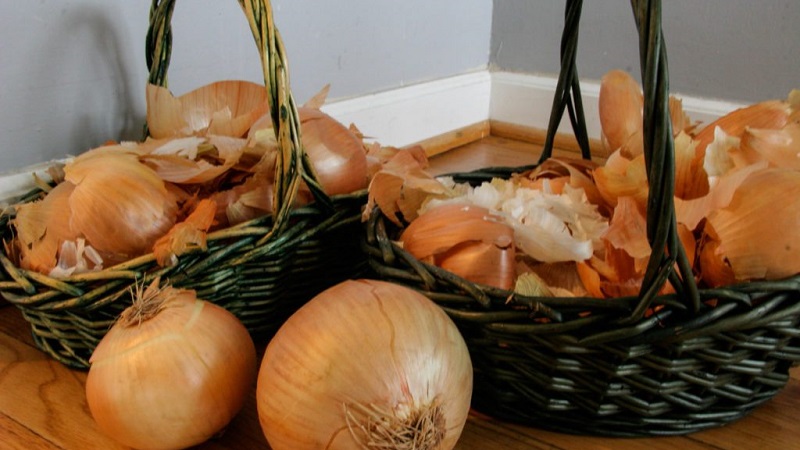 The use of onion peels for the garden and vegetable garden