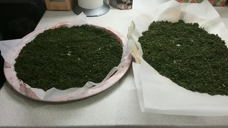 Корак по корак водич за ферментацију лишћа рибизле за чај код куће
