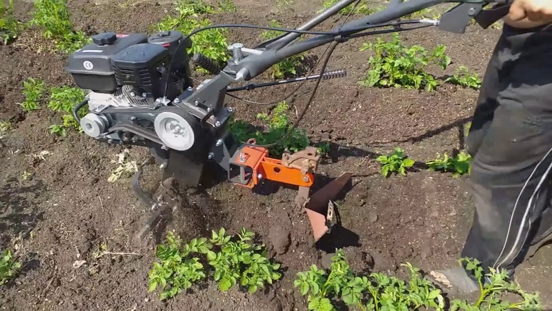 Technologie de plantation de pommes de terre avec un tracteur à conducteur marchant
