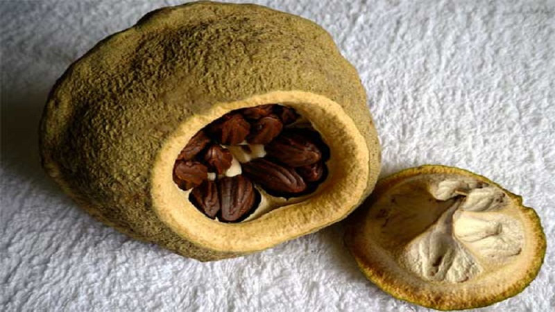 Mga Pakinabang ng Brazilian Nut para sa Babae