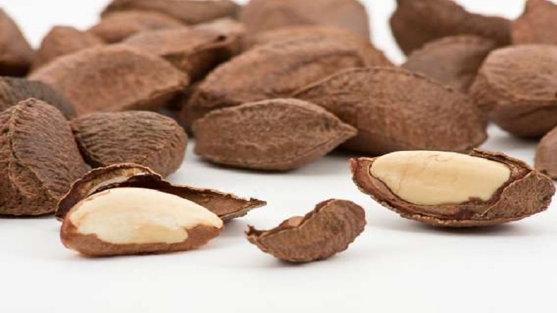 Mga Pakinabang ng Brazilian Nut para sa Babae
