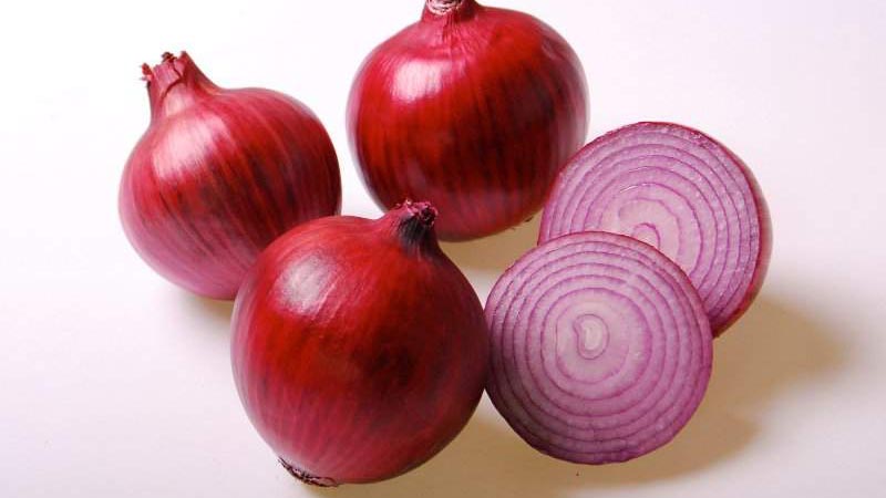 Vergleichen Sie, wie sich rote Zwiebeln von gewöhnlichen unterscheiden, und wählen Sie die beste aus