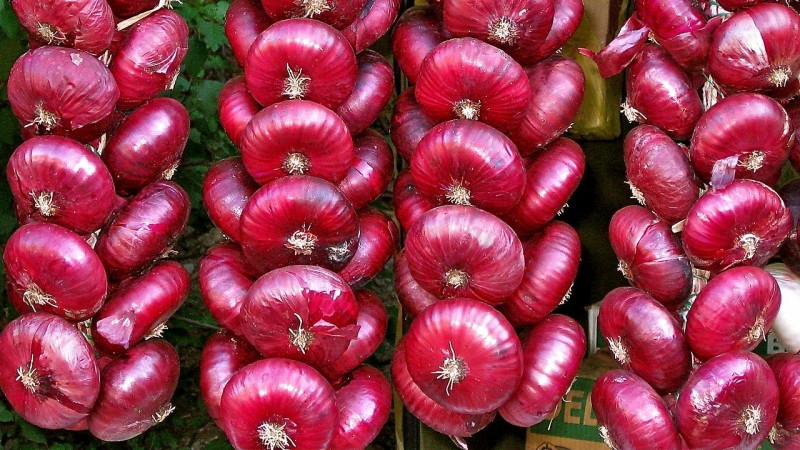 Compare how red onions differ from ordinary ones and choose the best one