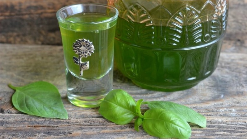 How to prepare and take basil weight loss products