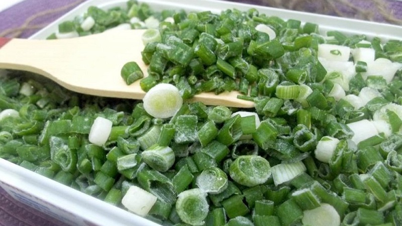 Yeşilleri kışa hazırlıyoruz: yeşil soğanları dondurmak mümkün mü ve nasıl doğru yapılır