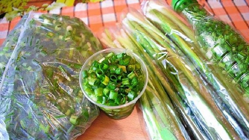 Yeşilleri kışa hazırlıyoruz: yeşil soğanları dondurmak mümkün mü ve nasıl doğru yapılır