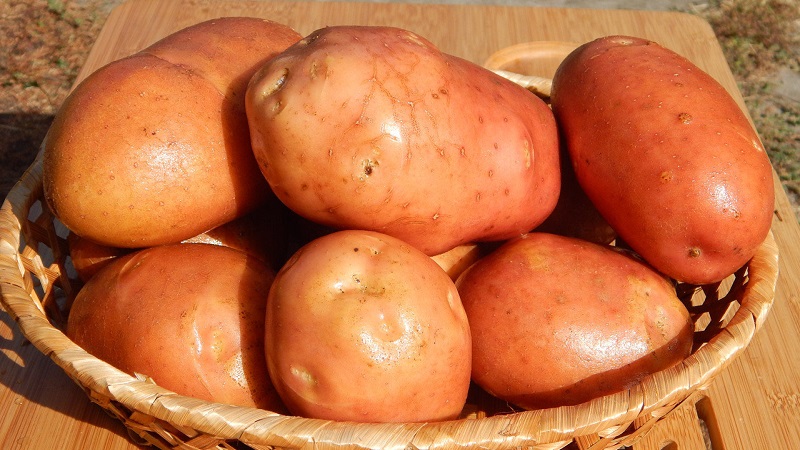 Nous déterminons le poids de la récolte à l'œil nu: combien de pommes de terre sont dans 1 kg et comment estimer grossièrement le poids