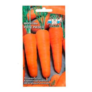 Características da variedade de cenoura Rote Riesen: descrição, tecnologia agrícola, comentários