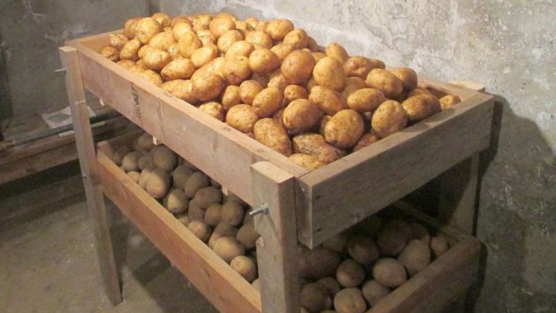 Machines de culture de pommes de terre - caractéristiques des machines agricoles