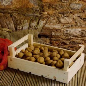 Χαρακτηριστικά της σωστής αποθήκευσης πατάτας: από το Α έως το Ω