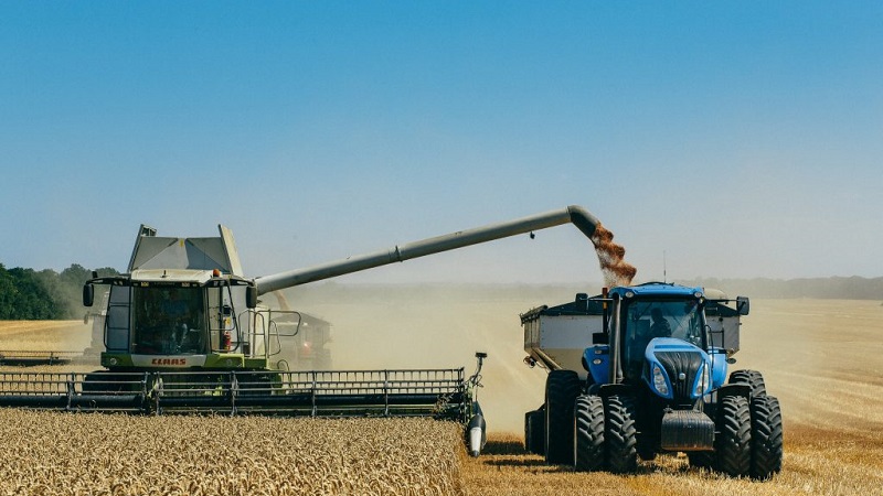 Příčiny pšeničné rezy a způsoby jejich řešení
