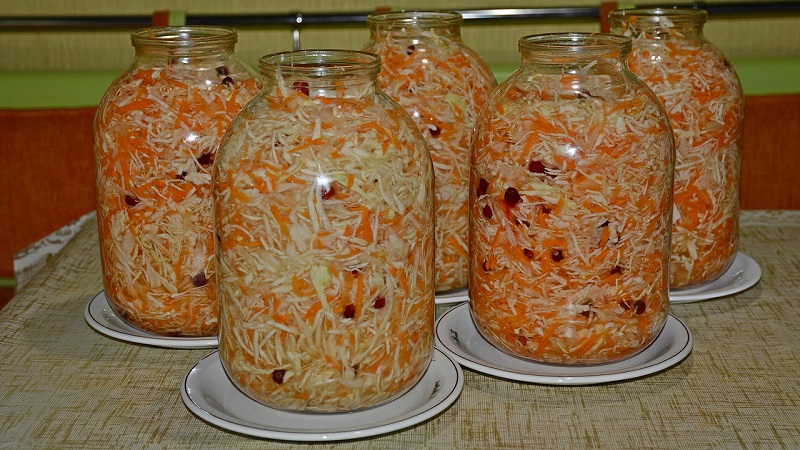 Најједноставнији и најукуснији рецепти за сољени хрскави купус у саламури за зиму