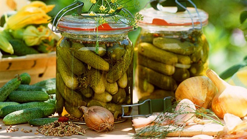 De lekkerste knapperige recepten voor komkommer in blik van ervaren huisvrouwen