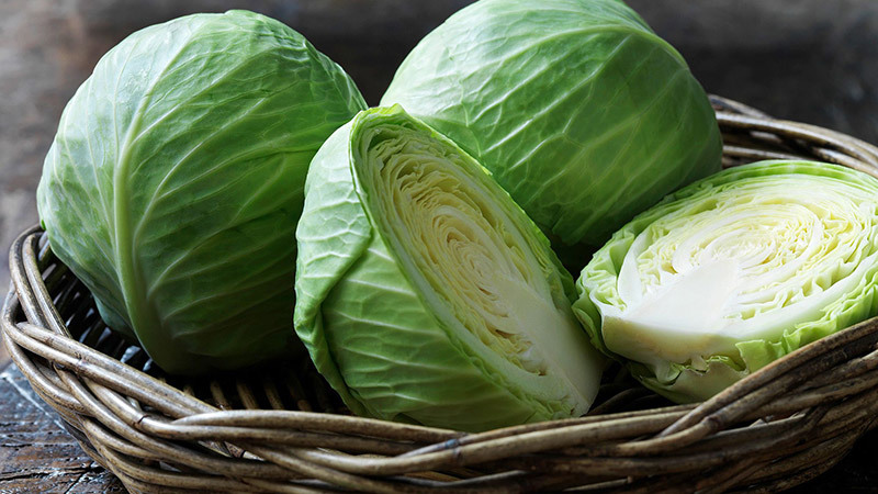 How many calories are in fresh cabbage