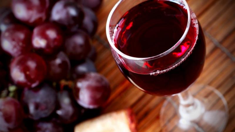 Rané hroznové víno Primitivo s brzkým povrchem