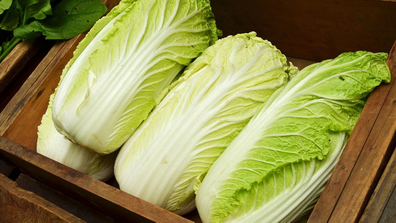 Ways to keep Chinese cabbage for the winter at home fresh, canned and frozen