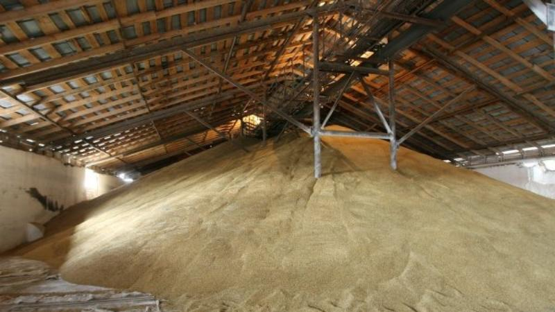 Termen, regels en methoden voor het opslaan van tarwe op industriële schaal en thuis