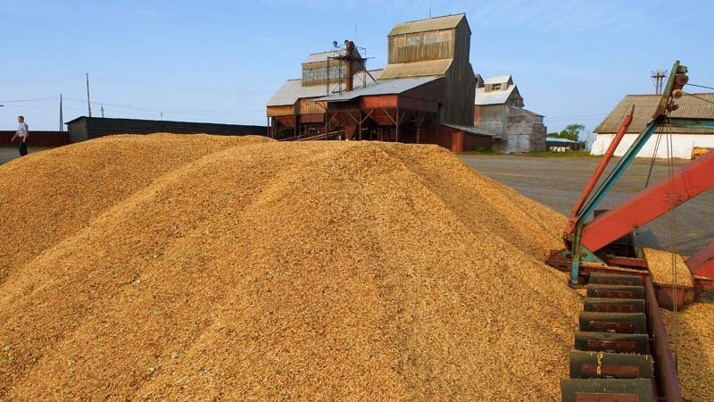 Termes, règles et méthodes de stockage du blé à l'échelle industrielle et à domicile