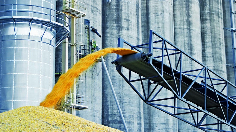 شروط وقواعد وطرق تخزين القمح على نطاق صناعي وفي المنزل
