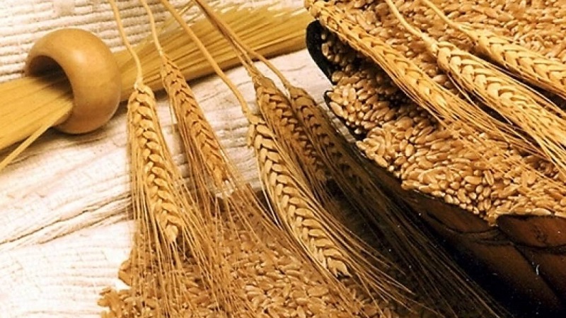 ما هي مميزات دقيق القمح القاسي وكيفية اختياره واستخدامه