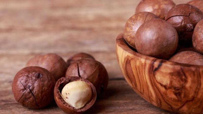 How is macadamia nut good for the body?