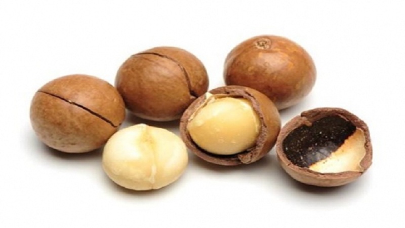 Macadamia-notendoppen - gunstige eigenschappen en toepassingen