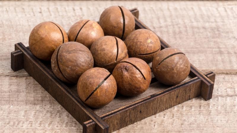 Как е орехът от макадамия полезен за тялото?