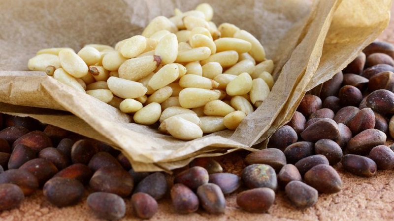 Why are pine nuts useful for women?