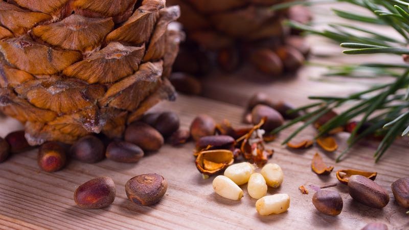 Why are pine nuts useful for women?