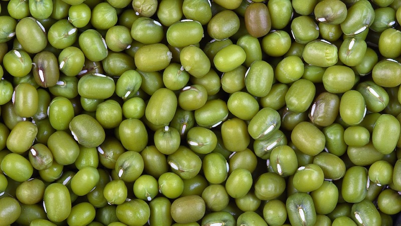 What are beans and how are they different from beans