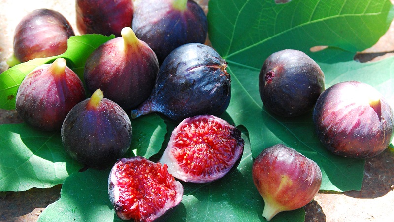 Смокиня и смокини: как изглежда и расте, отнася се до плодове или плодове,  какви са особеностите на плододаването на смокиня